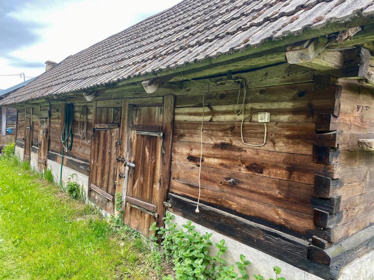 Agroturystyka TaMarka Soce Zewnętrze zdjęcie