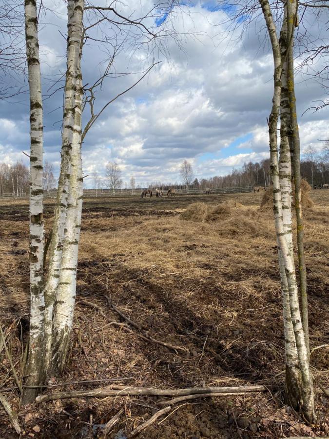 Agroturystyka TaMarka Soce Zewnętrze zdjęcie