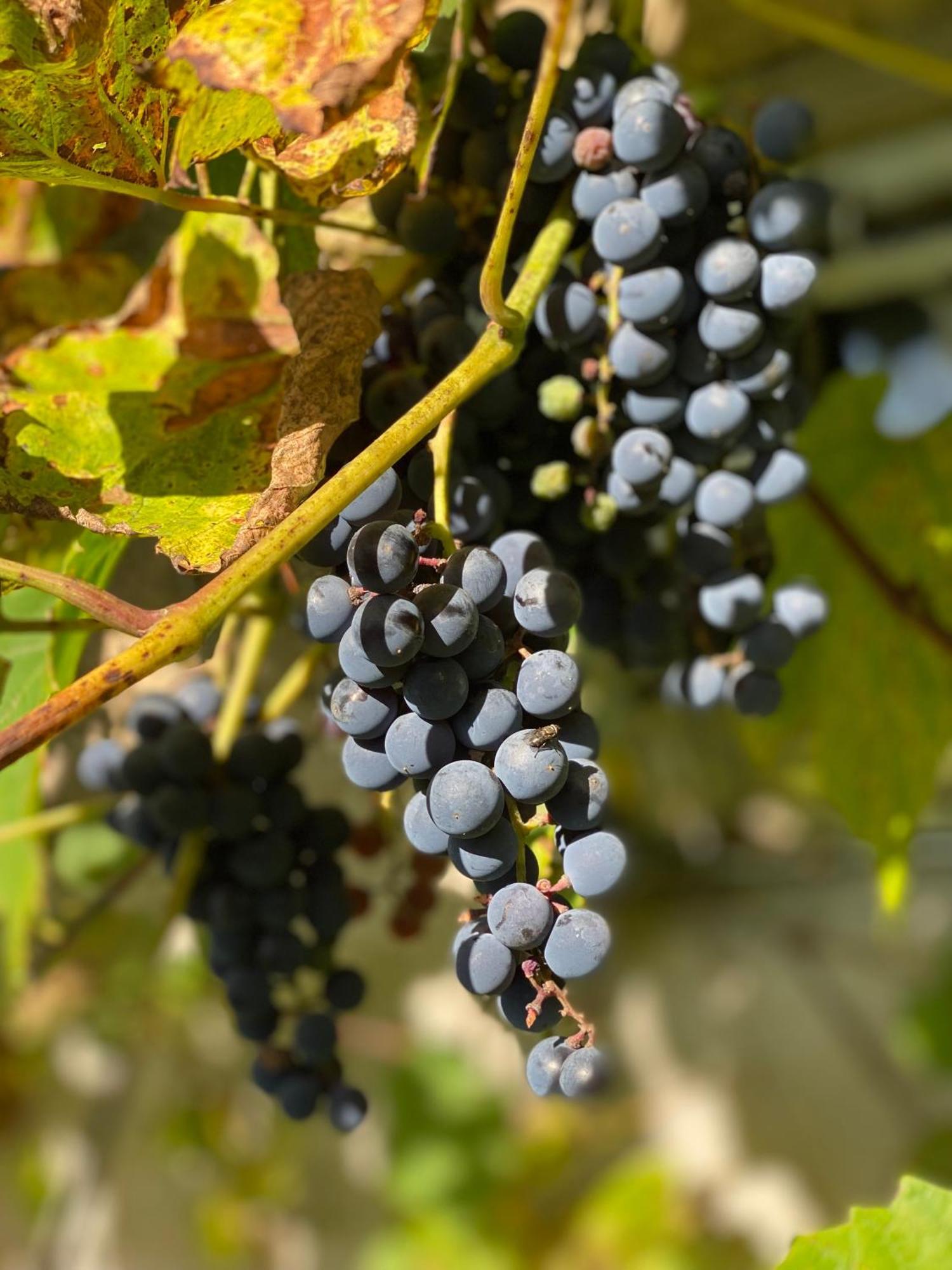 Agroturystyka TaMarka Soce Zewnętrze zdjęcie